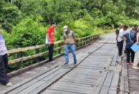 Ketua DPRD Kabupaten Murung Raya, H. Rumiadi, S.E., S.H., M.H., Saat meninjau langsung ke lapangan di dampingi warga setempat.