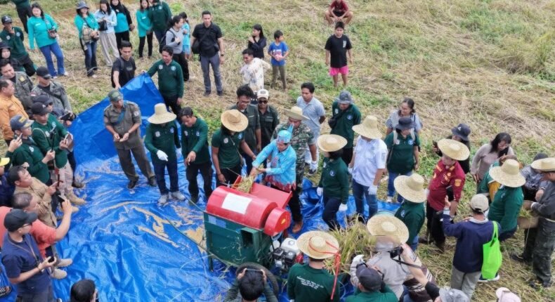 foto slider headline